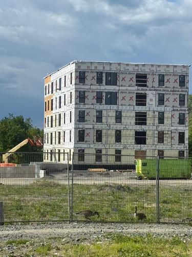 Appartement de 2 chambres à louer à Gatineau — photo 3