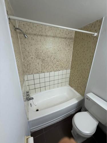 1 bedroom apartment for rent in Montreal - Le Plateau-Mont-Royal — photo 3