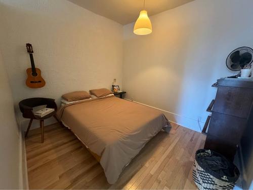 2 bedrooms apartment for rent in Montreal - Le Plateau-Mont-Royal — photo 14