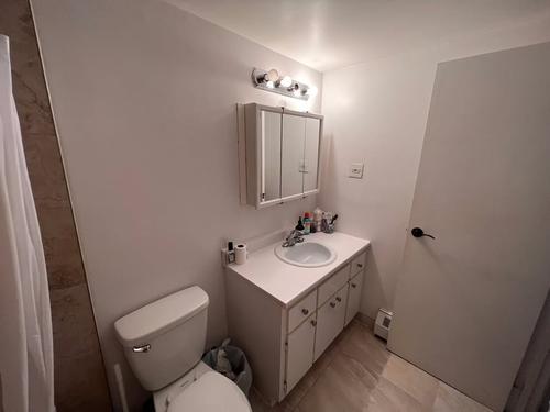 Appartement de 1 chambre à louer à Montreal - Saint-Laurent — photo 10