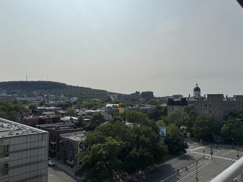 1 bedroom apartment for rent in Montreal - Le Plateau-Mont-Royal — photo 12