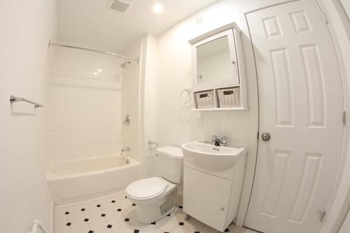 Appartement de 1 chambre à louer à Montreal - Le Plateau-Mont-Royal — photo 3