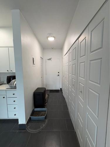 1 bedroom apartment for rent in Montreal - Le Plateau-Mont-Royal — photo 5