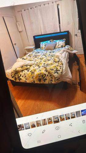 2 bedrooms apartment for rent in Gatineau — photo 8