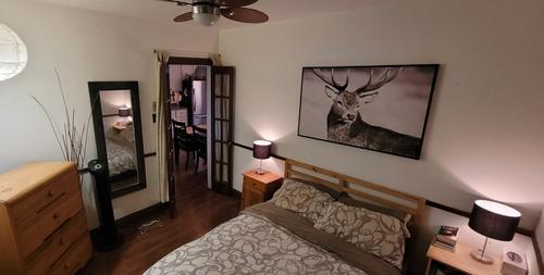 2 bedrooms apartment for rent in Montreal - Rosemont–La Petite-Patrie — photo 4