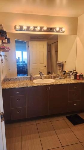 Appartement de 1 chambre à louer à Montreal - Le Plateau-Mont-Royal — photo 3