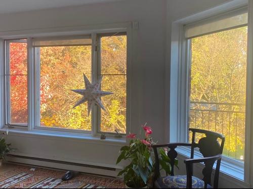 4 bedrooms apartment for rent in Montreal - Le Plateau-Mont-Royal — photo 23