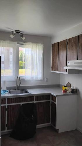 1 bedroom apartment for rent in Lévis — photo 2