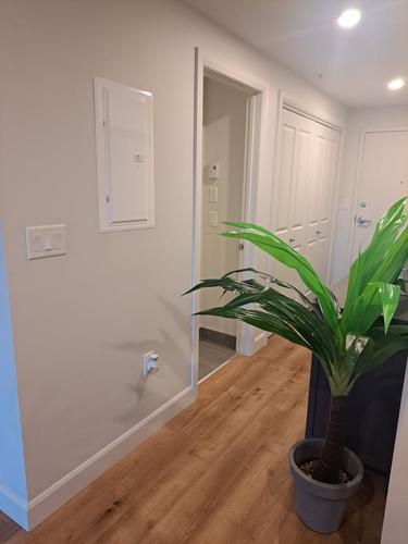 Appartement de 1 chambre à louer à Lévis — photo 5