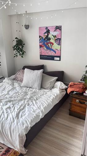 Appartement de 1 chambre à louer à Montreal - Le Plateau-Mont-Royal — photo 9