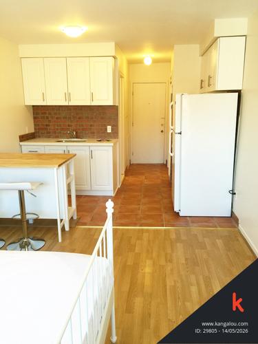 Studio for rent in Montreal - Le Plateau-Mont-Royal — photo 17