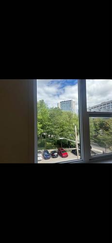 1 bedroom apartment for rent in Québec - La Cité-Limoilou — photo 11