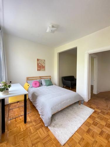 1 bedroom apartment for rent in Montreal - Le Plateau-Mont-Royal — photo 3