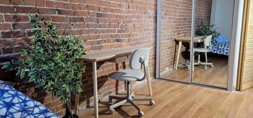 1 bedroom apartment for rent in Montreal - Le Plateau-Mont-Royal — photo 3