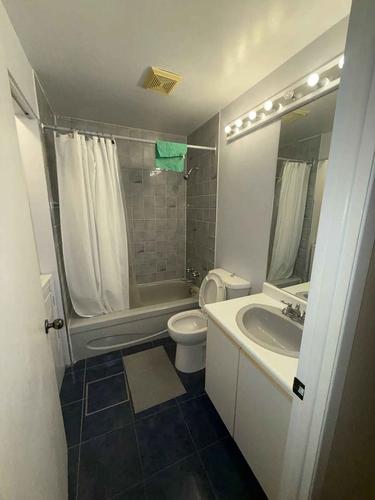 1 bedroom apartment for rent in Montreal - Rivière-des-Prairies–Pointe-aux-Trembles — photo 3
