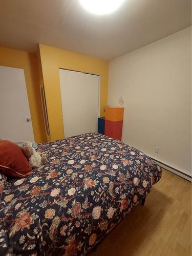 Appartement de 1 chambre à louer à Québec - La Cité-Limoilou — photo 4