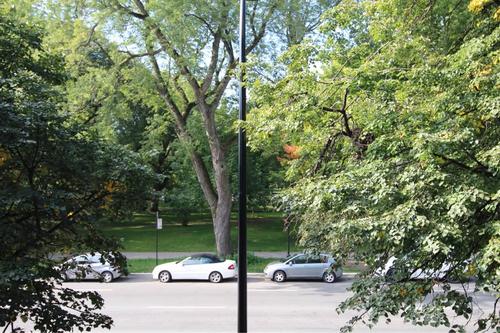 1 bedroom apartment for rent in Montreal - Le Plateau-Mont-Royal — photo 7