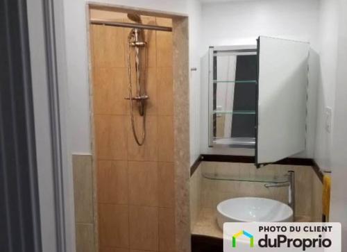 Appartement de 1 chambre à louer à Montreal - Rosemont–La Petite-Patrie — photo 4