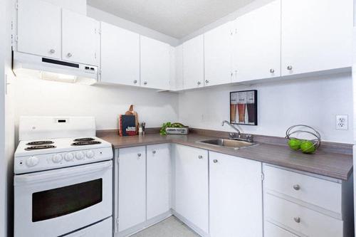 Appartement de 2 chambres à louer à Gatineau — photo 9