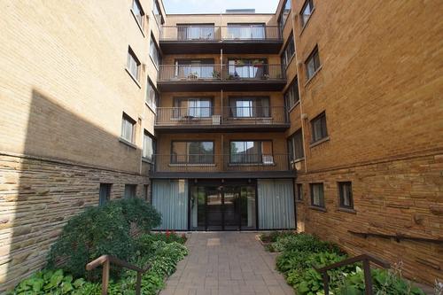 1 bedroom apartment for rent in Montréal — photo 3