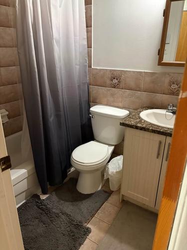 Appartement de 1 chambre à louer à Montreal - Rosemont–La Petite-Patrie — photo 8