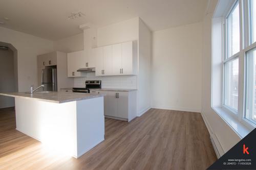 1 bedroom apartment for rent in Montreal - Rosemont–La Petite-Patrie — photo 8