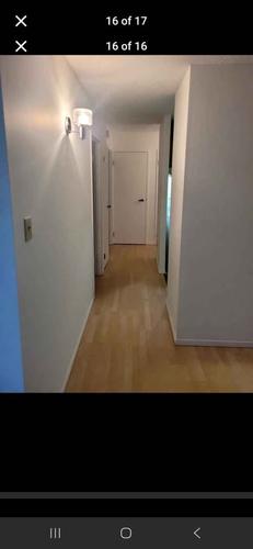 Appartement de 2 chambres à louer à Québec - Sainte-Foy–Sillery–Cap-Rouge — photo 13