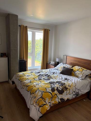 1 bedroom apartment for rent in Lévis — photo 4