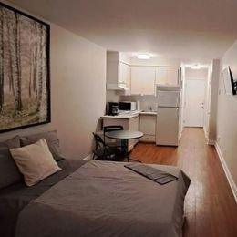 1 bedroom apartment for rent in Montreal - Rosemont–La Petite-Patrie — photo 4