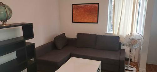 1 bedroom apartment for rent in Montreal - Le Plateau-Mont-Royal — photo 4