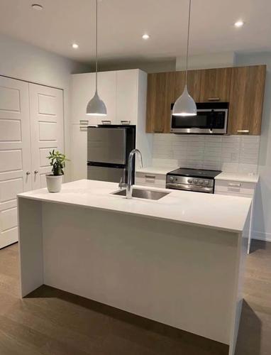 Appartement de 1 chambre à louer à Laval — photo 9