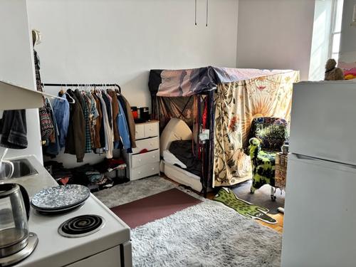Appartement de 1 chambre à louer à Montreal - Le Plateau-Mont-Royal — photo 2