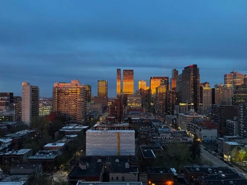 Appartement de 1 chambre à louer à Montreal - Le Plateau-Mont-Royal — photo 17