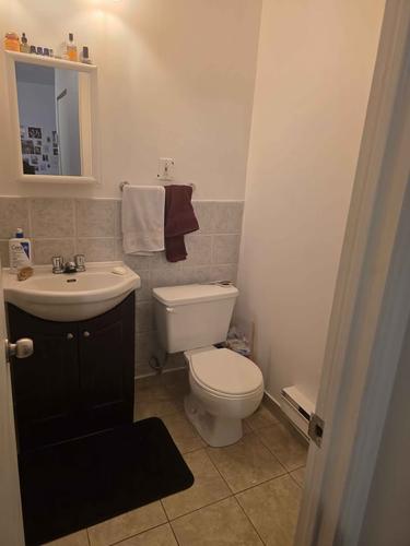 Studio for rent in Montreal - Le Plateau-Mont-Royal — photo 2