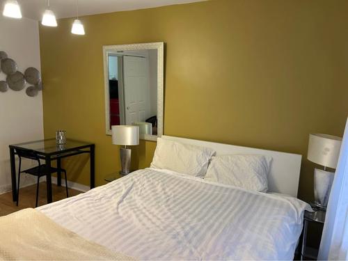 1 bedroom apartment for rent in Montreal - Le Plateau-Mont-Royal — photo 13