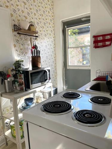 1 bedroom apartment for rent in Montreal - Le Plateau-Mont-Royal — photo 4