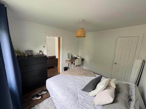 2 bedrooms apartment for rent in Montreal - Rosemont–La Petite-Patrie — photo 10