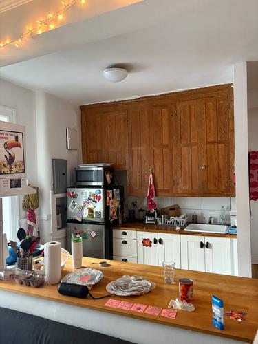 4 bedrooms apartment for rent in Montreal - Le Plateau-Mont-Royal — photo 10