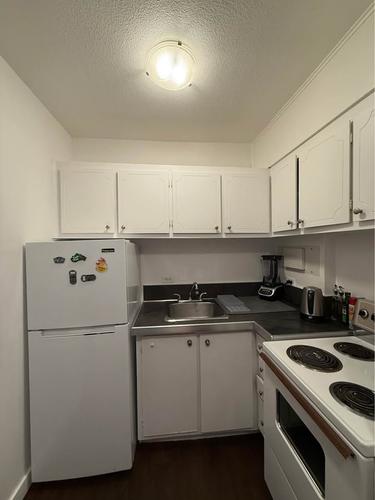 Appartement de 1 chambre à louer à Montreal - Le Plateau-Mont-Royal — photo 3