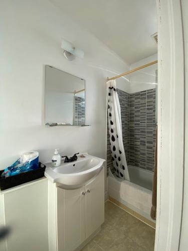 1 bedroom apartment for rent in Montreal - Rosemont–La Petite-Patrie — photo 9
