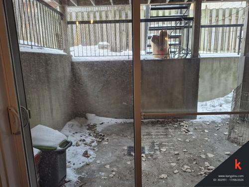 1 bedroom apartment for rent in Montreal - Ville-Marie — photo 11