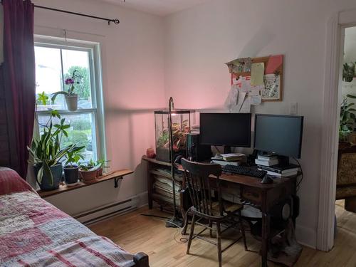 2 bedrooms apartment for rent in Sherbrooke — photo 7