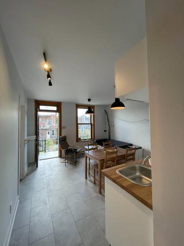 4 bedrooms apartment for rent in Montreal - Le Plateau-Mont-Royal — photo 8