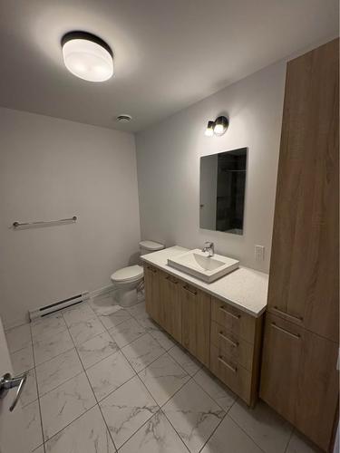 1 bedroom apartment for rent in Longueuil — photo 3