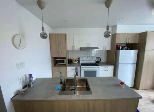 Appartement de 2 chambres à louer à Québec - La Cité-Limoilou — photo 2