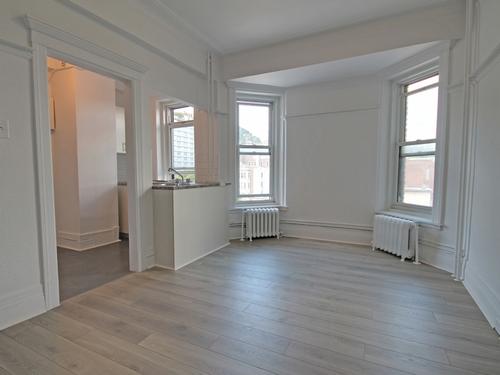 1 bedroom apartment for rent in Montreal - Villeray–Saint-Michel–Parc-Extension — photo 3