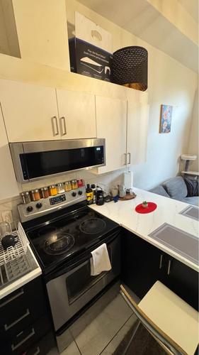 1 bedroom apartment for rent in Montreal - Le Plateau-Mont-Royal — photo 3