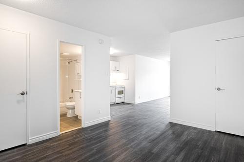 1 bedroom apartment for rent in Montreal - Le Plateau-Mont-Royal — photo 8