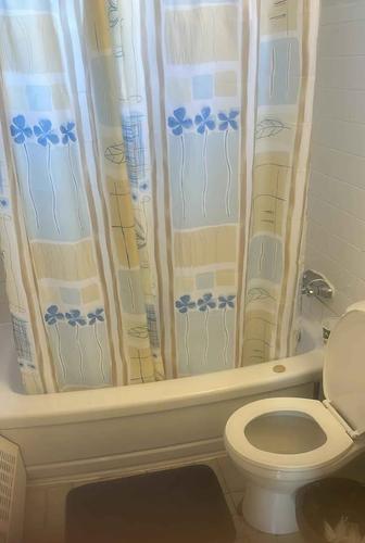 1 bedroom apartment for rent in Québec - Sainte-Foy–Sillery–Cap-Rouge — photo 3