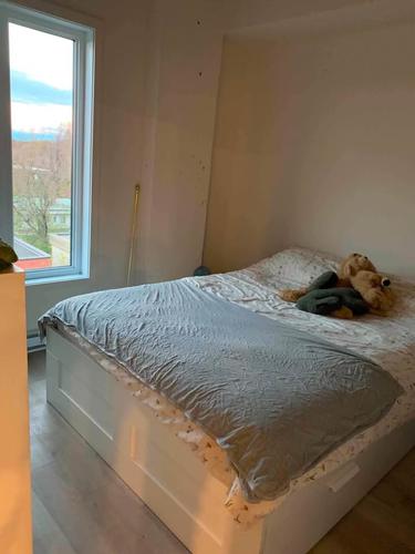 Appartement de 1 chambre à louer à Montréal — photo 4